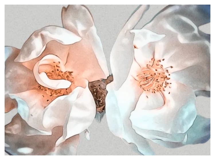 Delicate Blossoms
