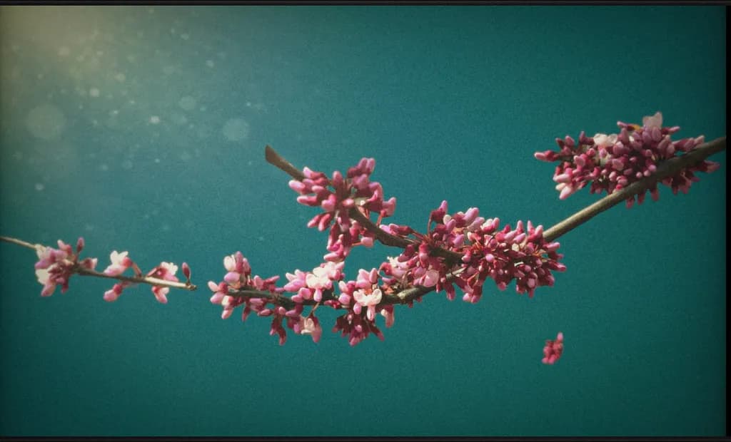 Blossom Branch