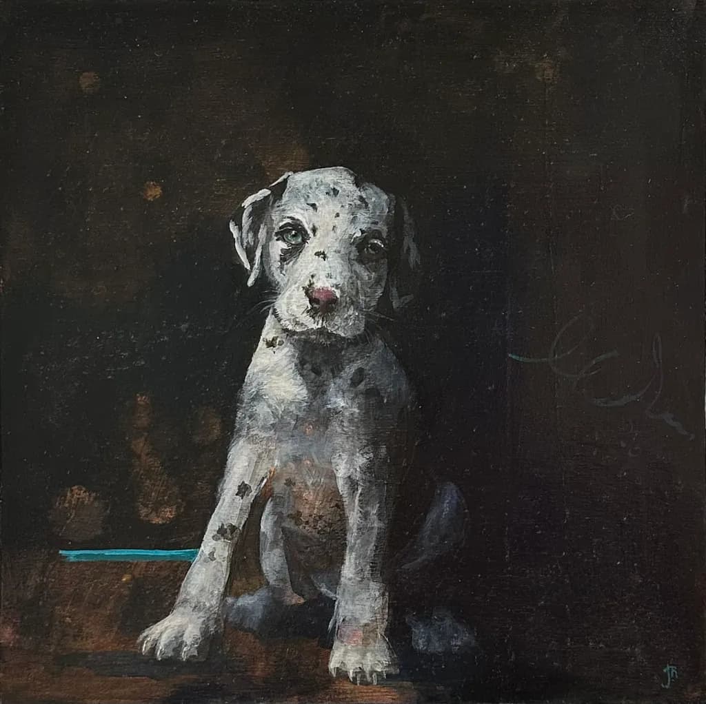 Whimsical Whispers: A Playful Pup in Shadows