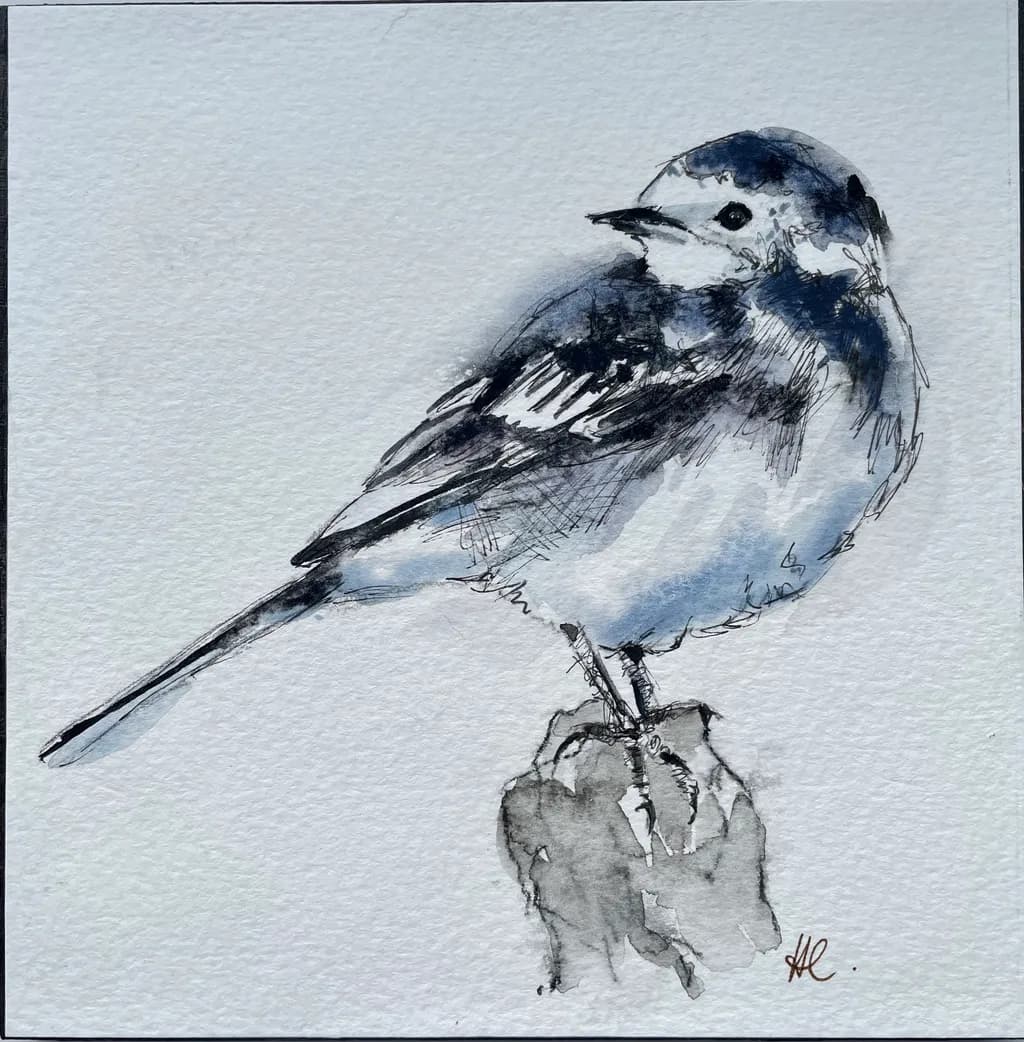 Perched Study
