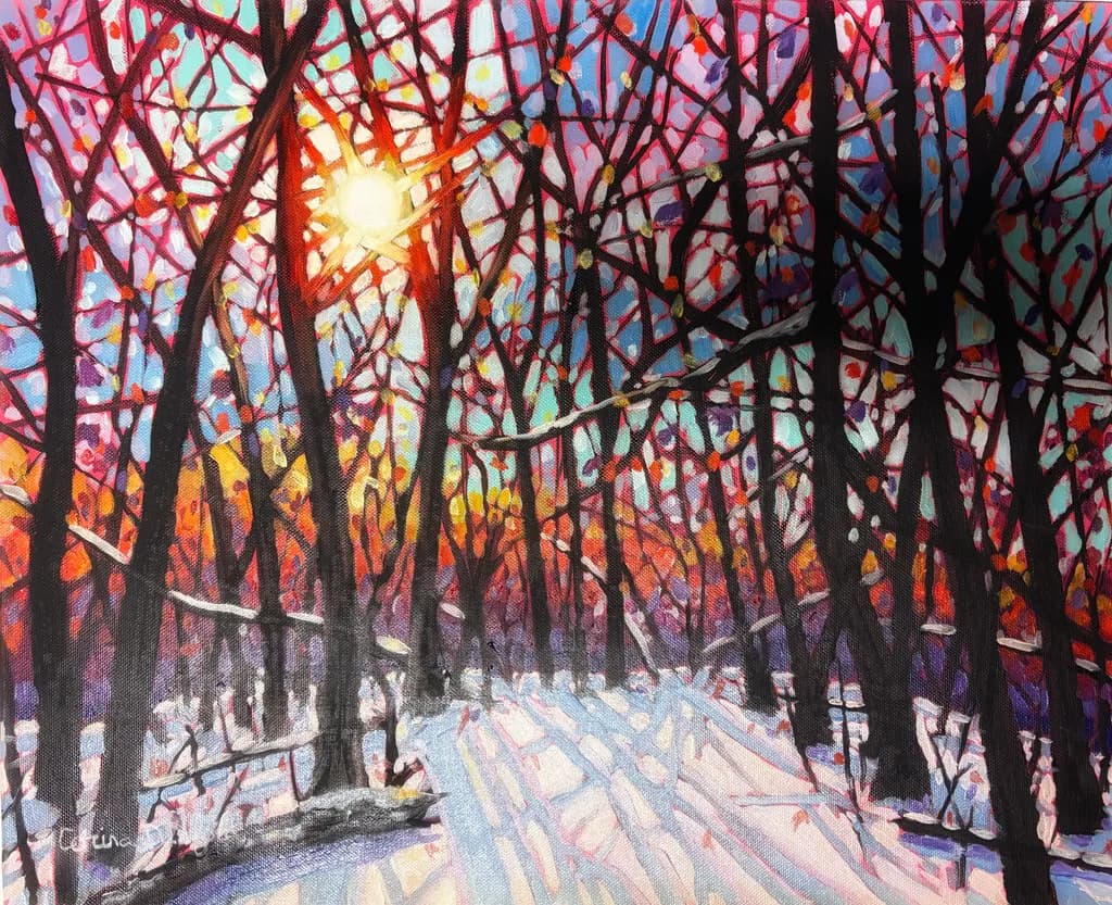 Winter Sunlight