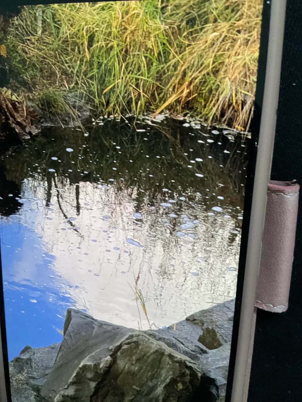 Marsh Reflection
