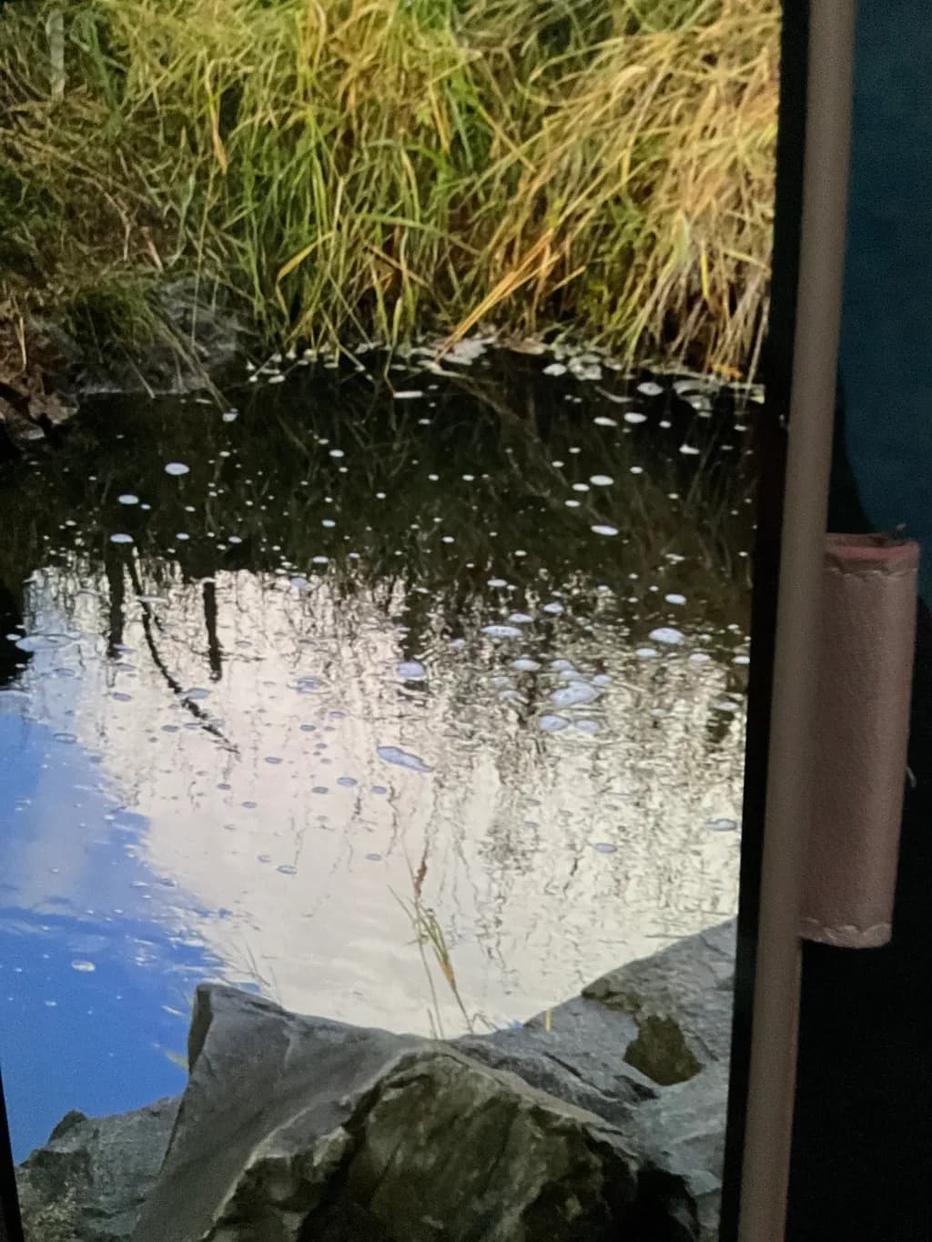 Stillwater Reflections