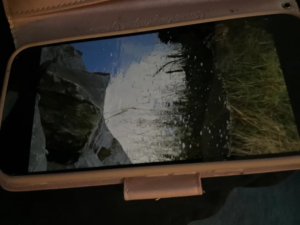 Reflected Landscape