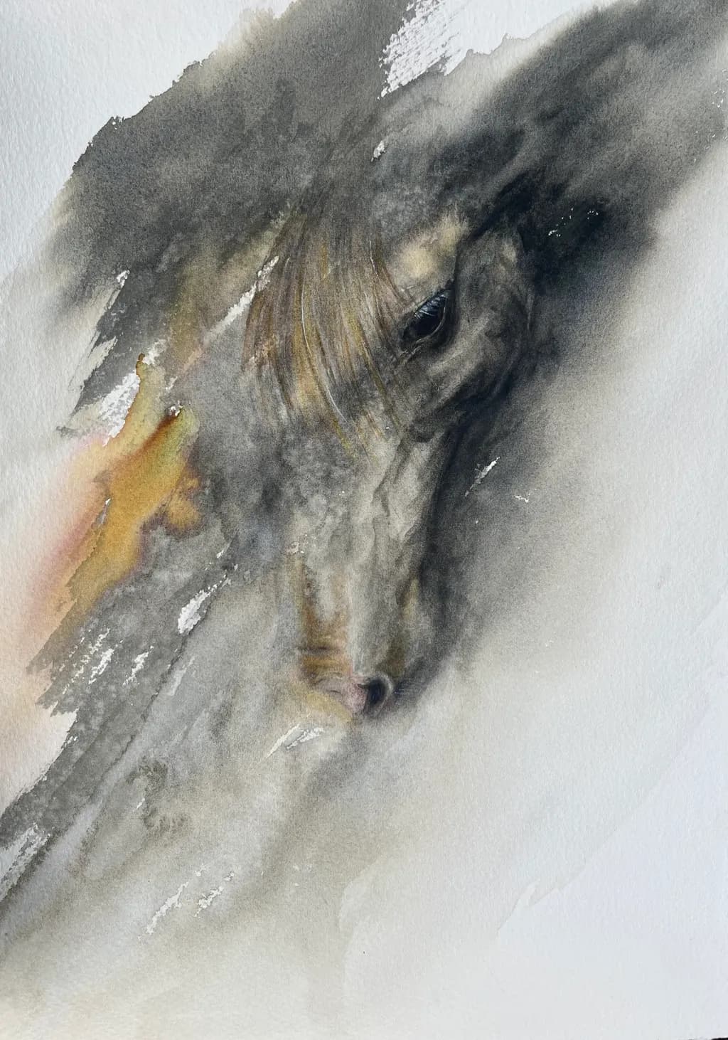 Veiled Equine