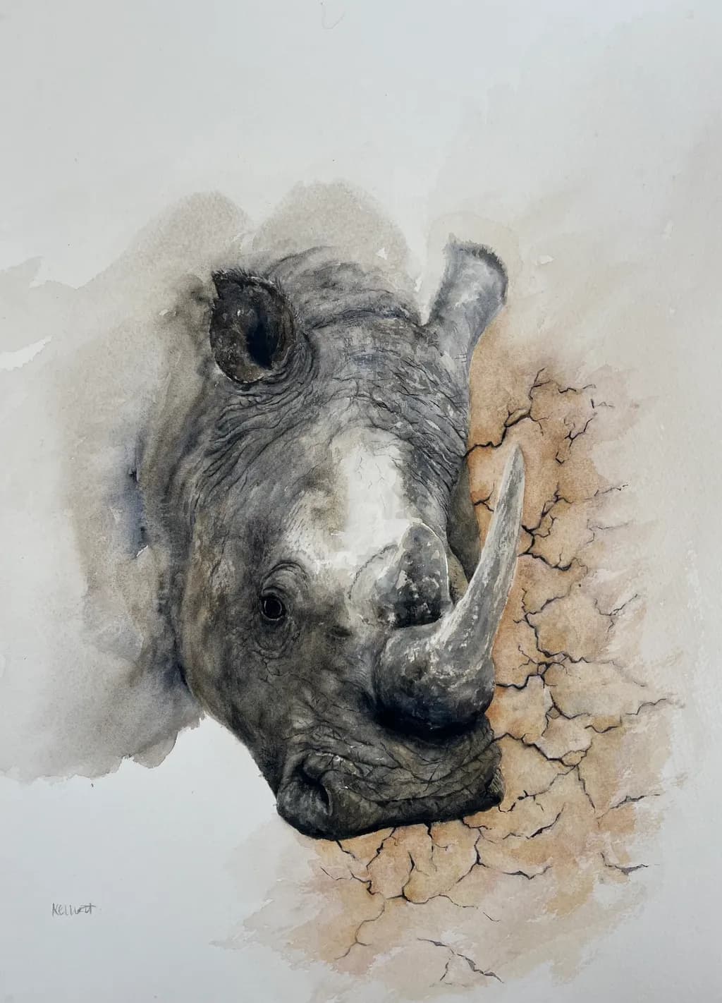 Cracked Earth Rhino