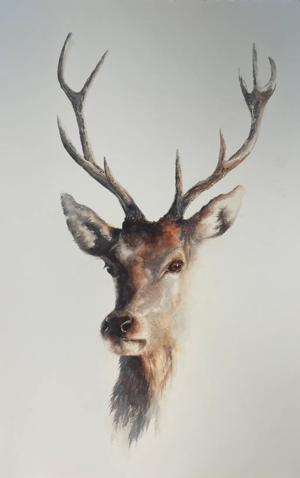 Stag Elegance