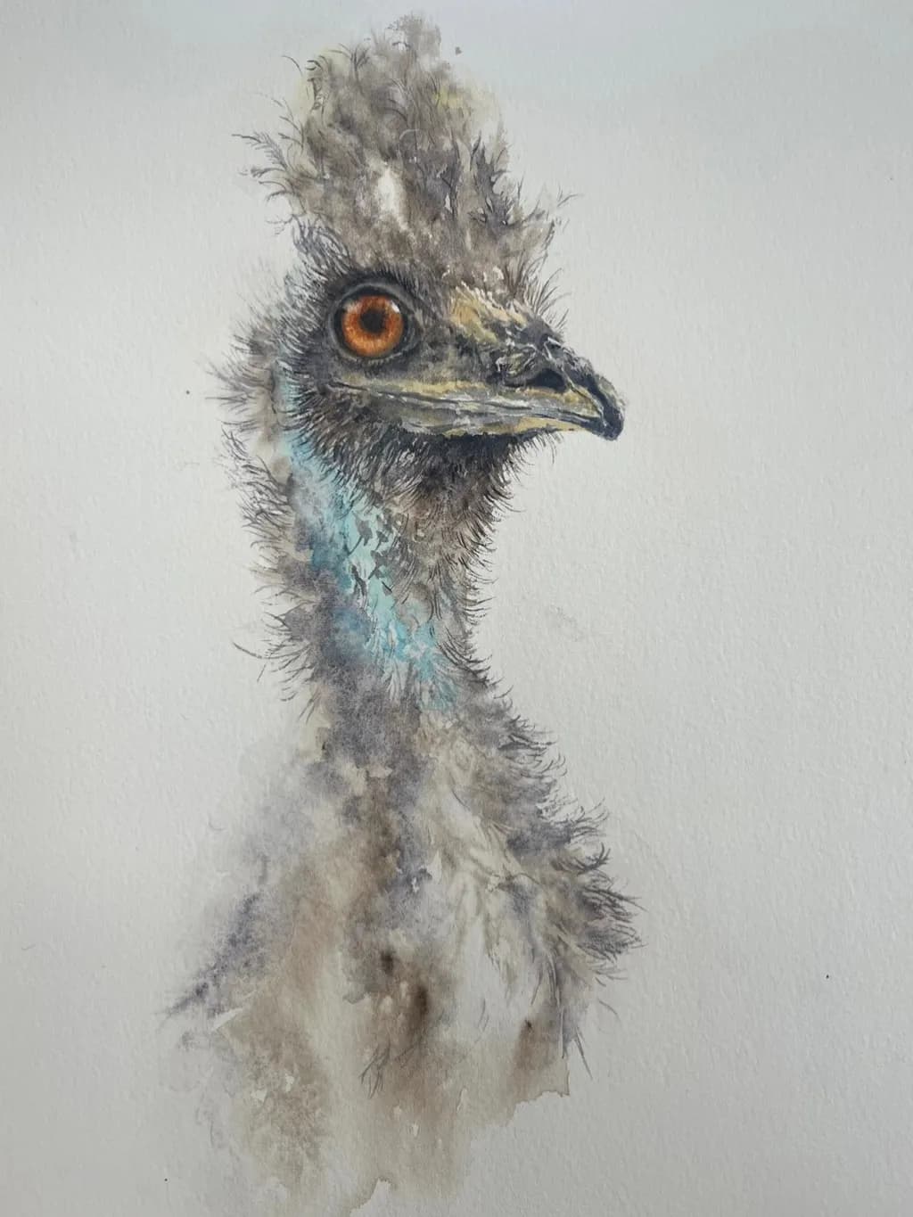 Curious Emu Gaze