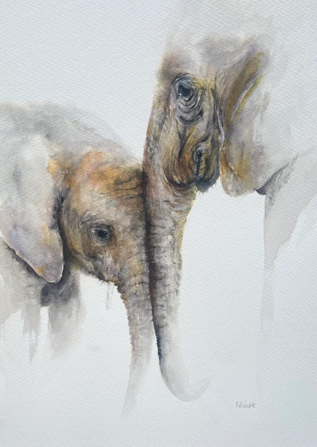 Elephant Embrace