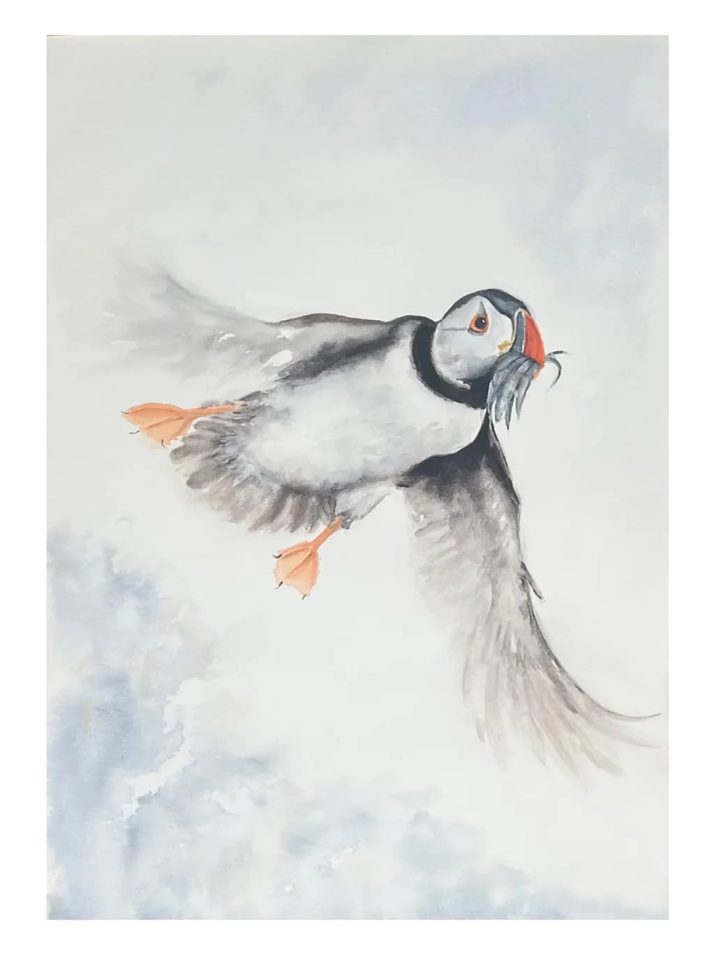 Puffin Flight