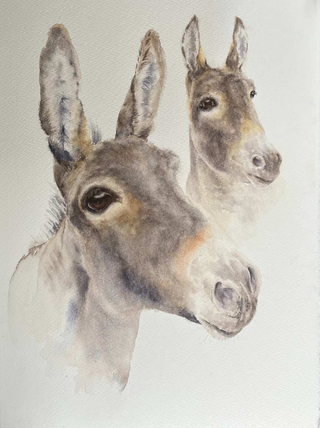 Gentle Companions