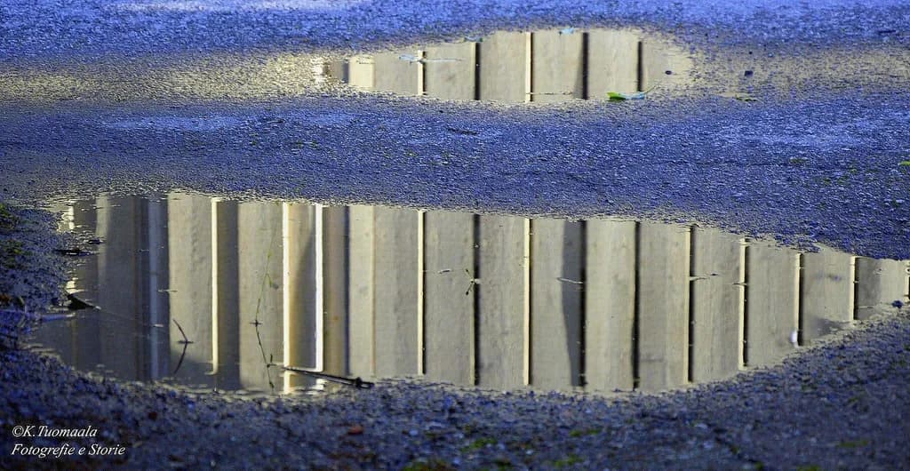 Urban Reflections