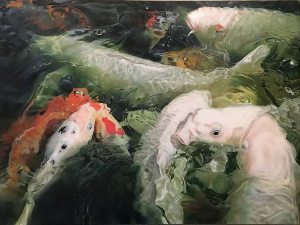 Koi Harmony