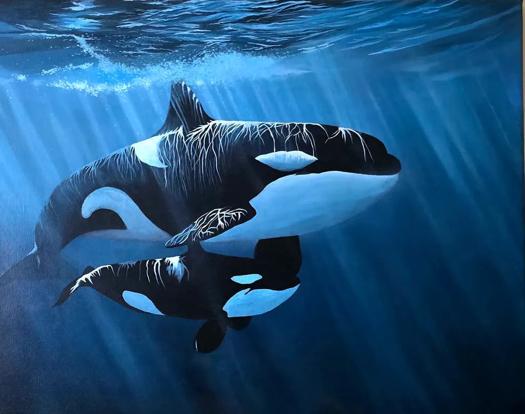 Orca Embrace