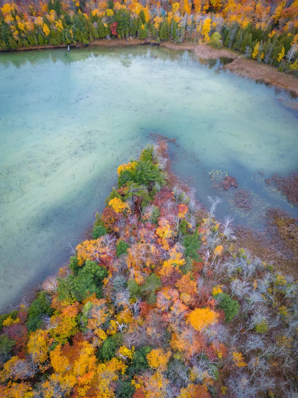 Autumn Reflections