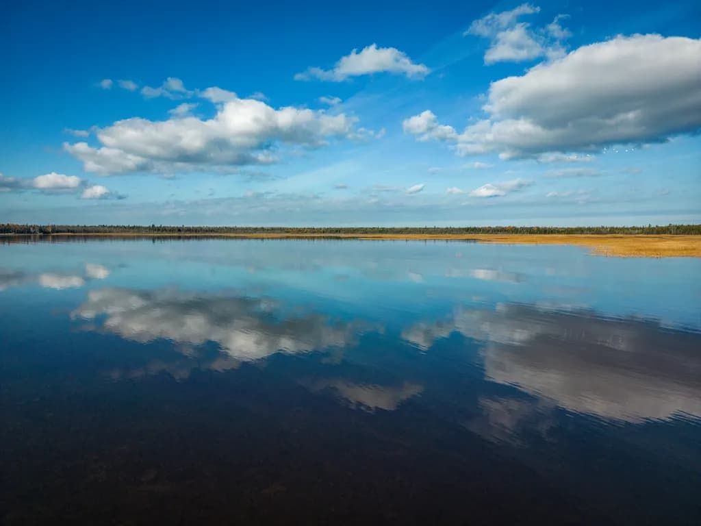 Reflections in Blue