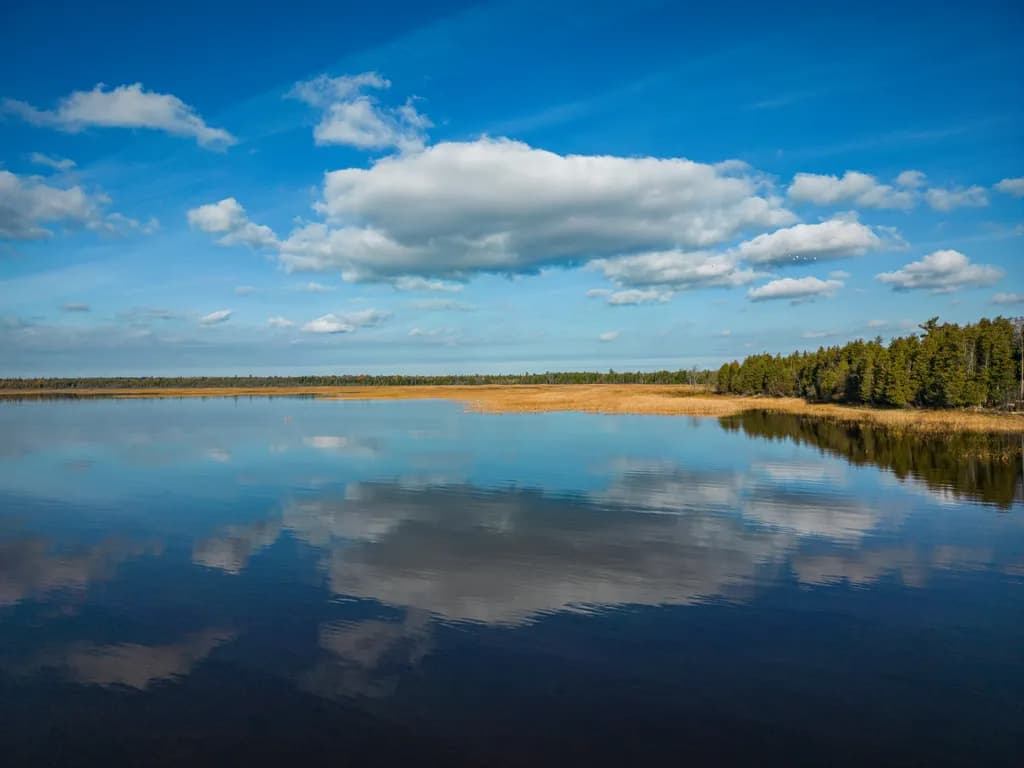 Reflections of Serenity