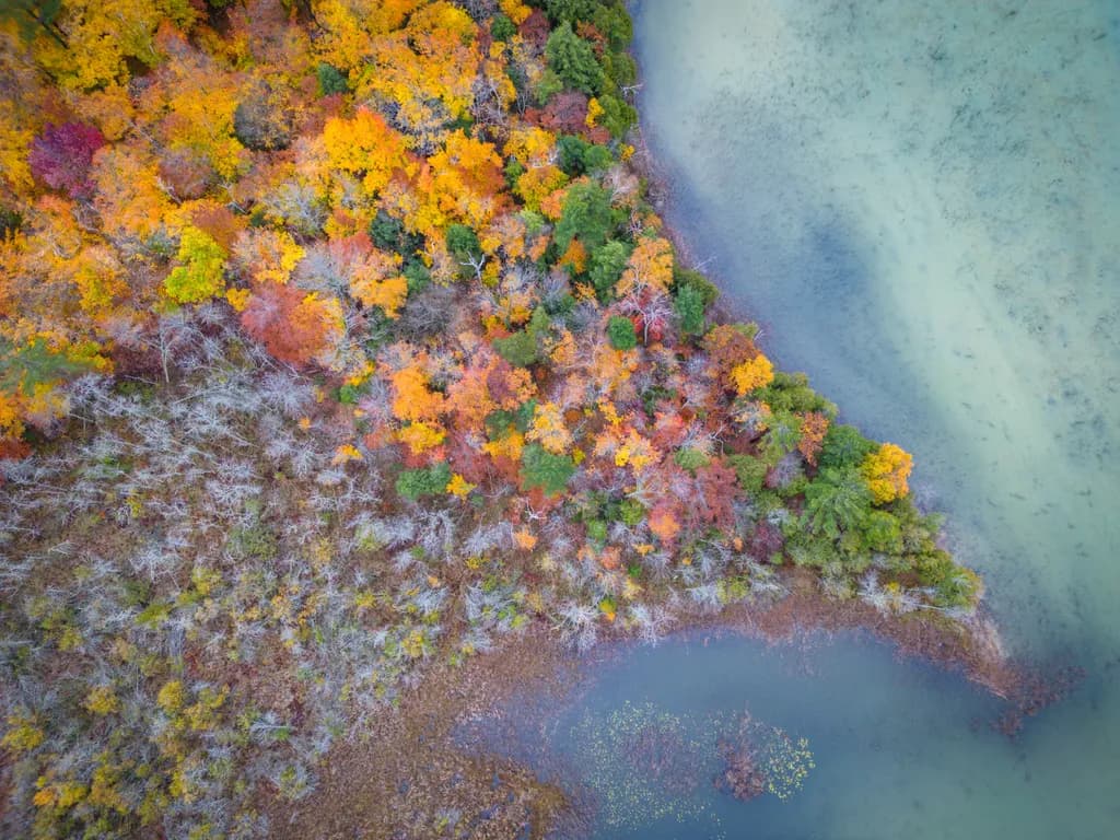 Autumn's Embrace