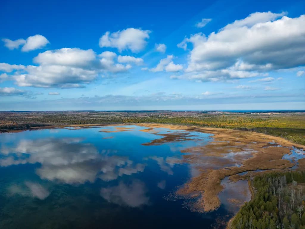 Tranquil Reflections