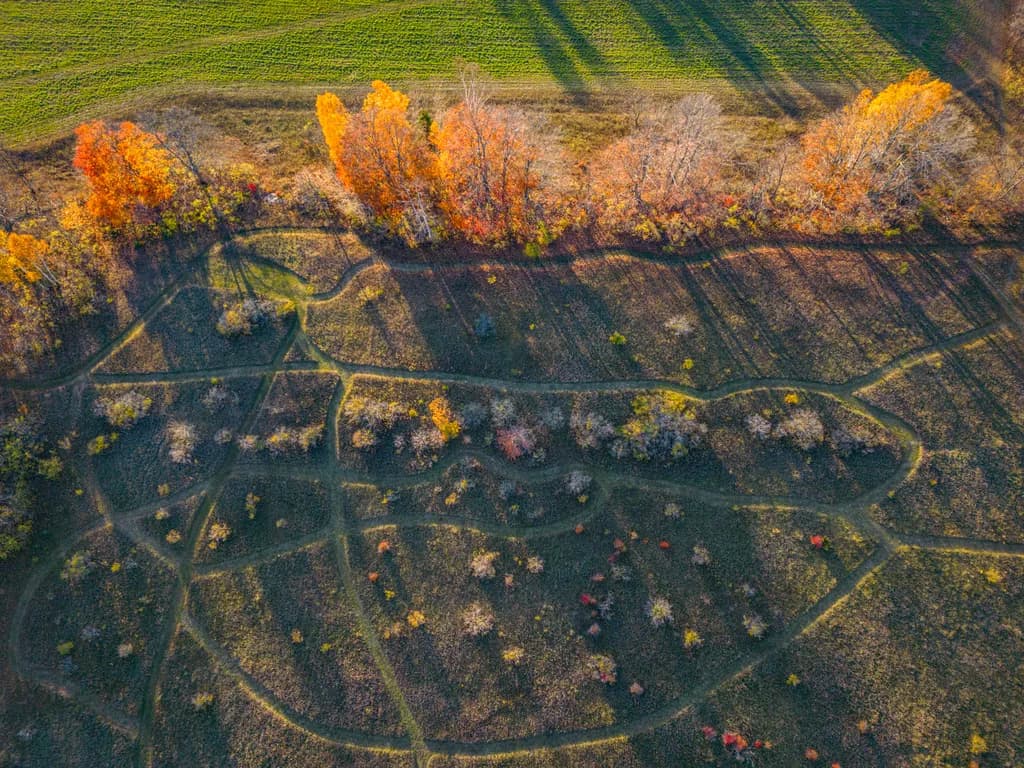 Autumn Paths