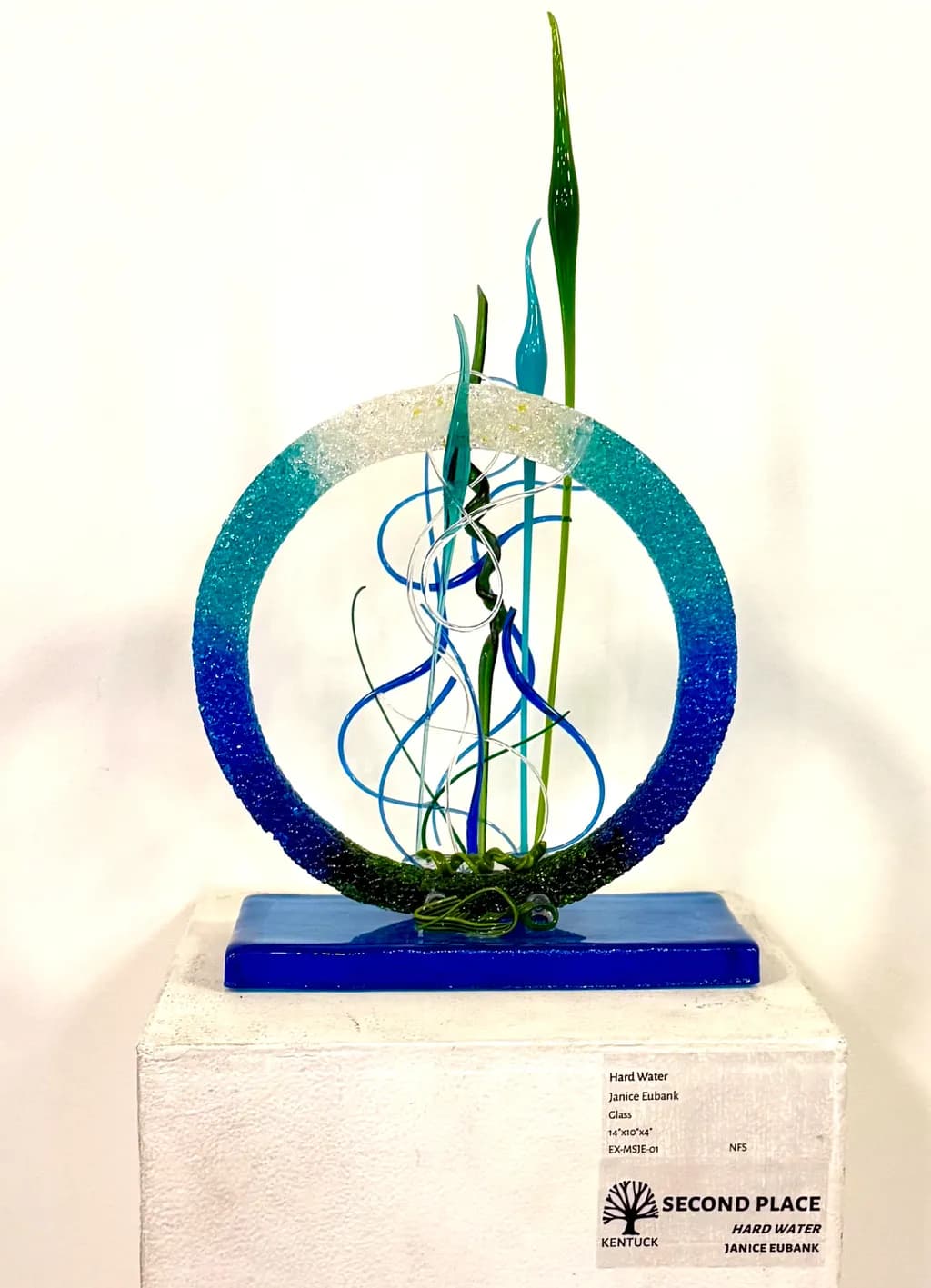 "Fluid Harmony: A Playful Dance of Water and Glass"