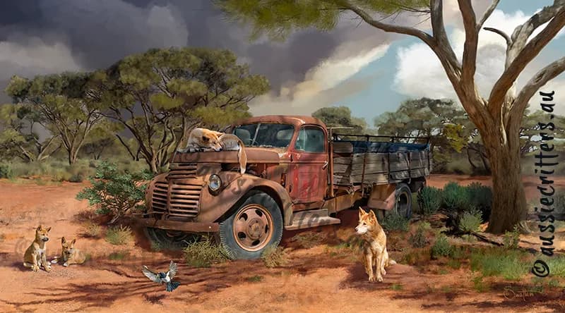 Rustic Serenity: A Journey Through the Outback with Wildlife and Vintage Charm