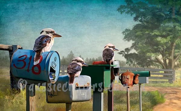 Whimsical Kookaburras: A Serene Moment at the Mailbox Junction
