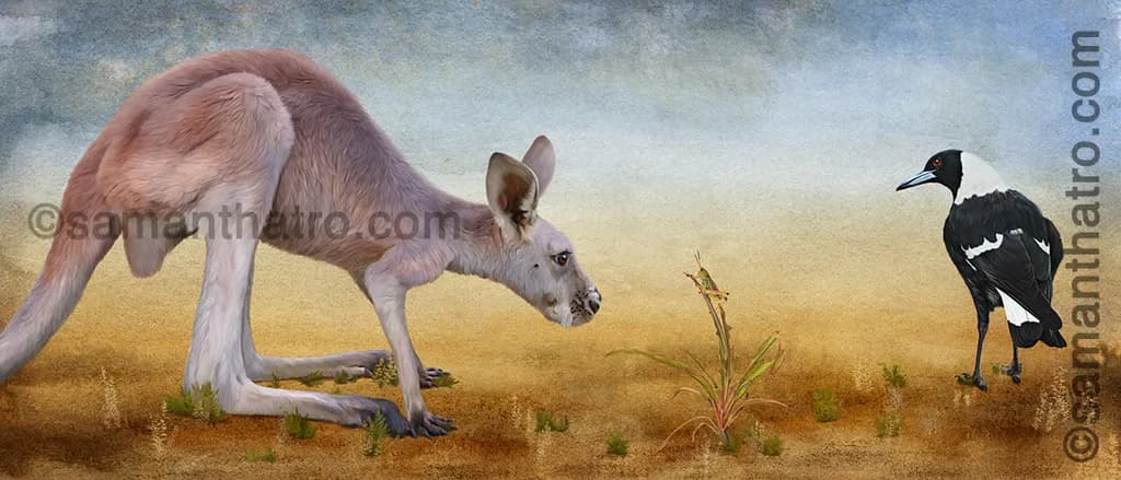 Whispers of the Outback: A Magpie and Kangaroo Encounter in Nature's Canvas