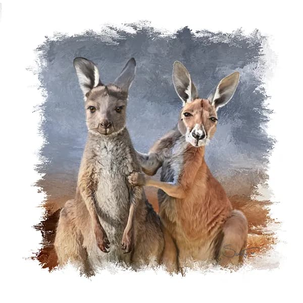 Kangaroo Companionship: A Portrait of Nature's Friendship