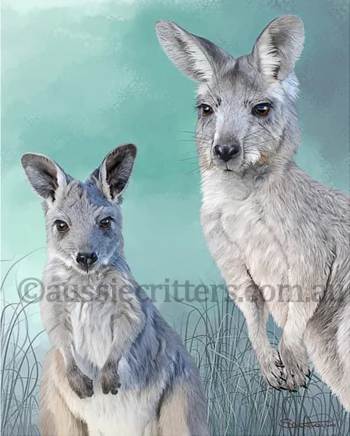 Whimsical Kangaroo Companions: A Serene Australian Landscape Illustration