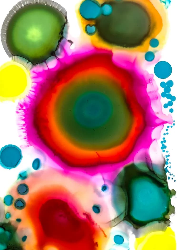 Vibrant Echoes: A Dance of Colorful Circles in Fluid Artistry
