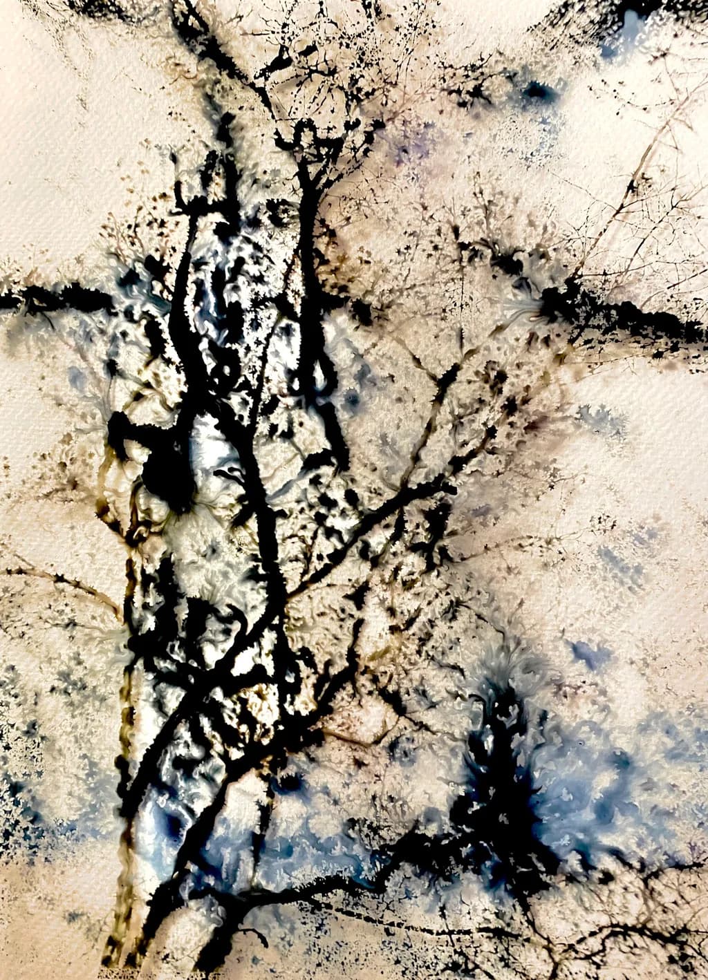 Veins of Nature