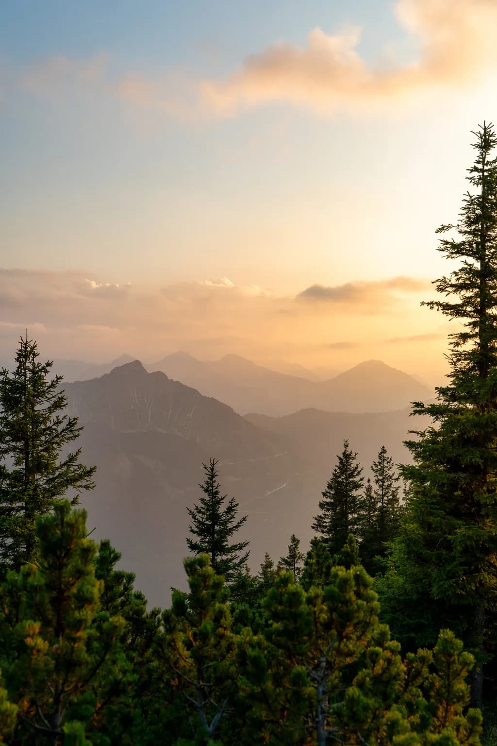 Mountain Mist at Dusk