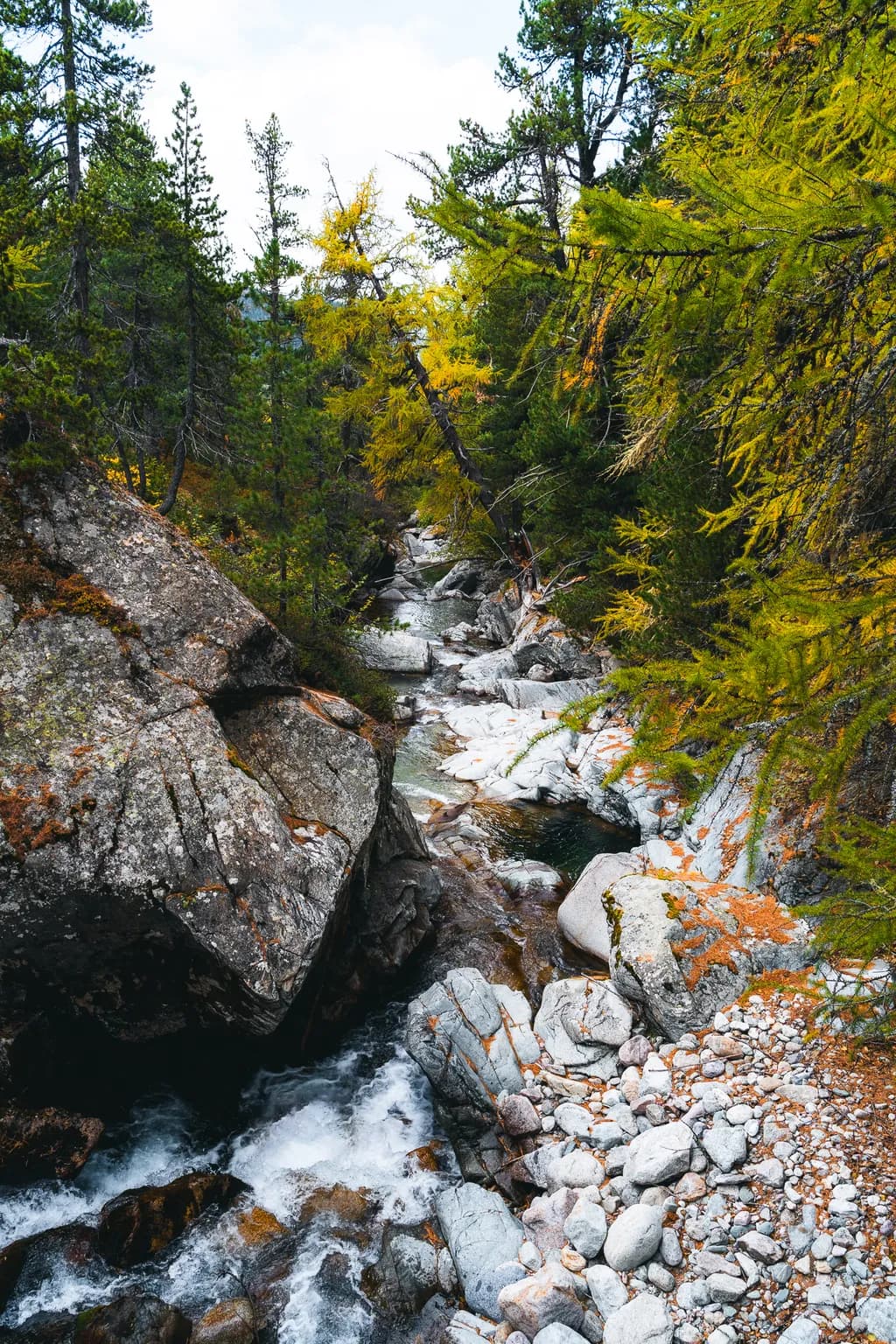 Mountain Stream Gorge