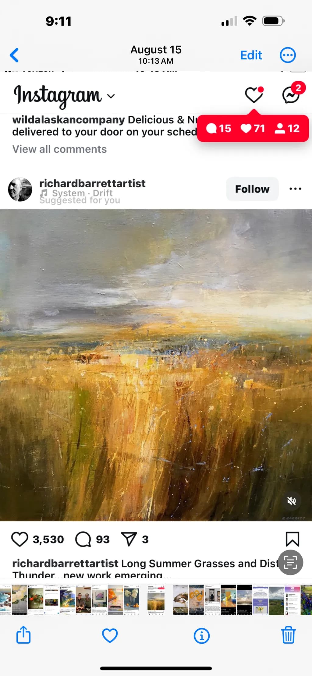 Long Summer Grasses