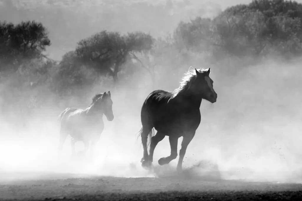 Whispers of Freedom: Horses in a Dusty Landscape