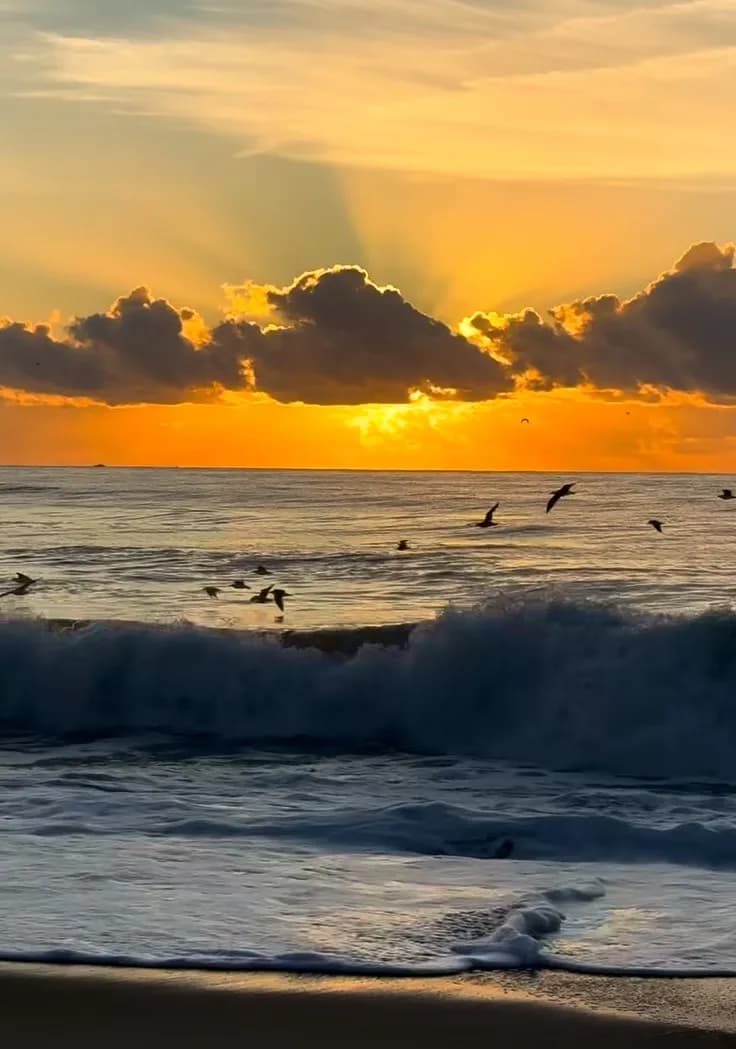 Ocean Sunset