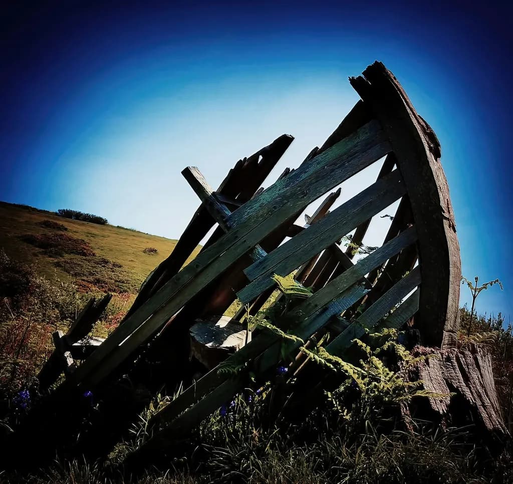 Whispers of Nature: The Forgotten Vessel Amidst the Wildflowers
