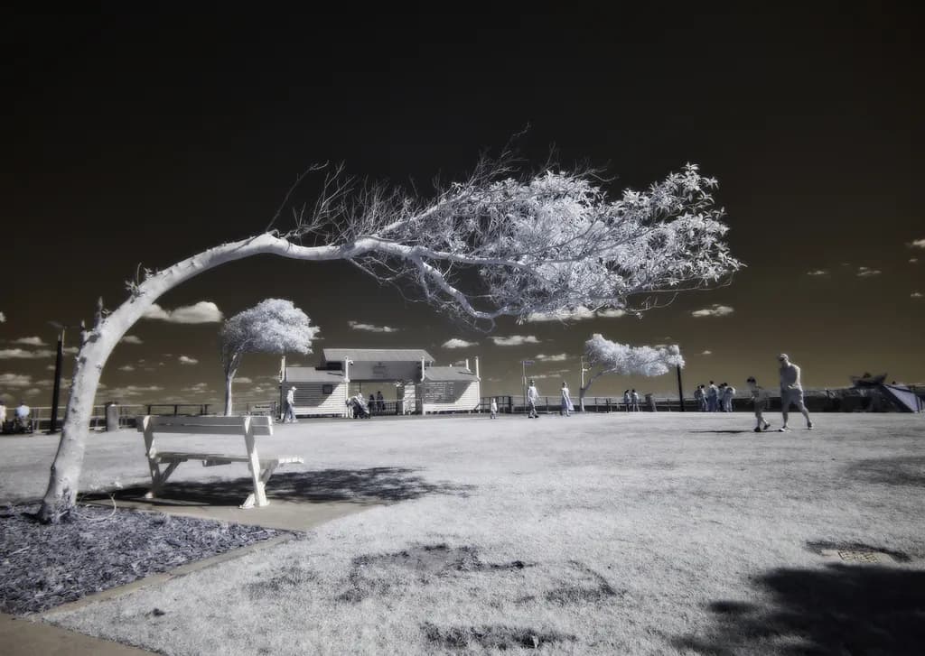 Whispers of Nature: An Ethereal Dance of Light and Shadow in Infrared Serenity
