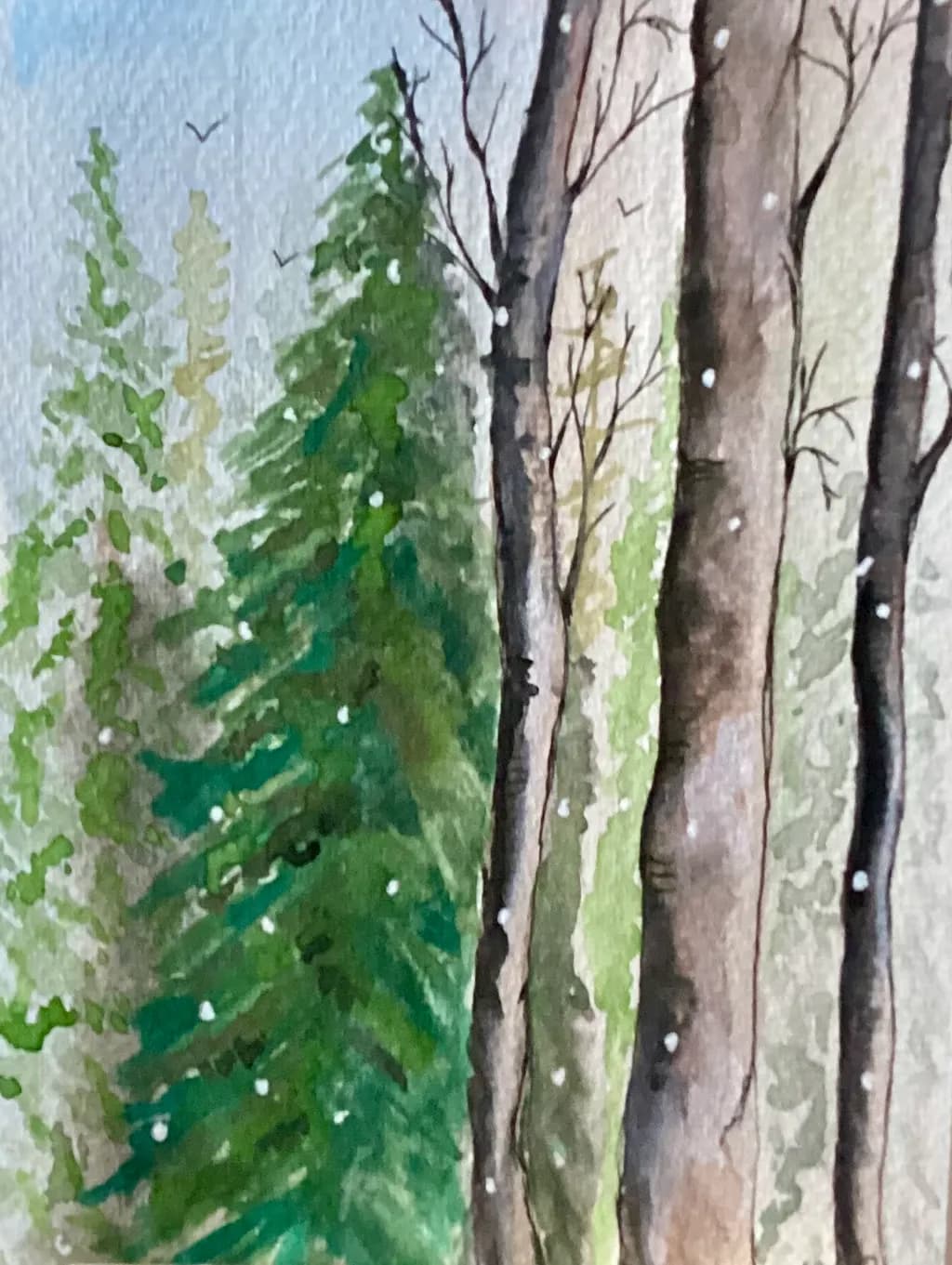 Snowy Pines