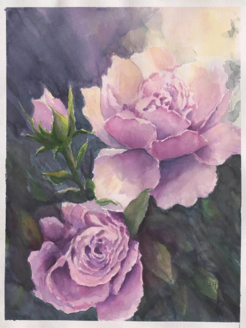 Angels Embrace Angel Face Roses