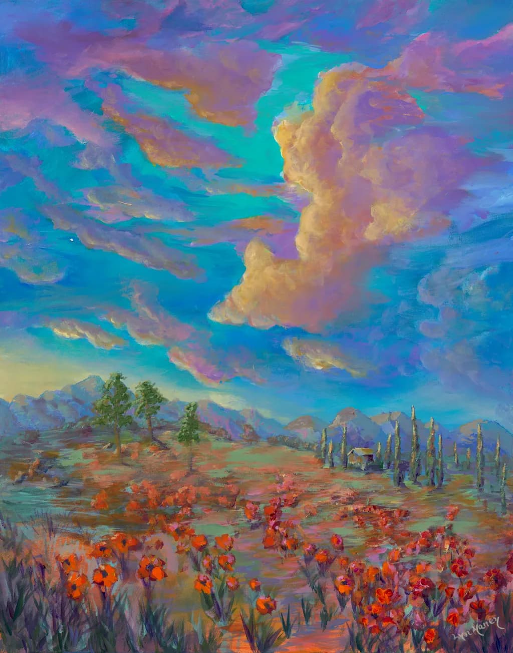 Field of Red Flowers
