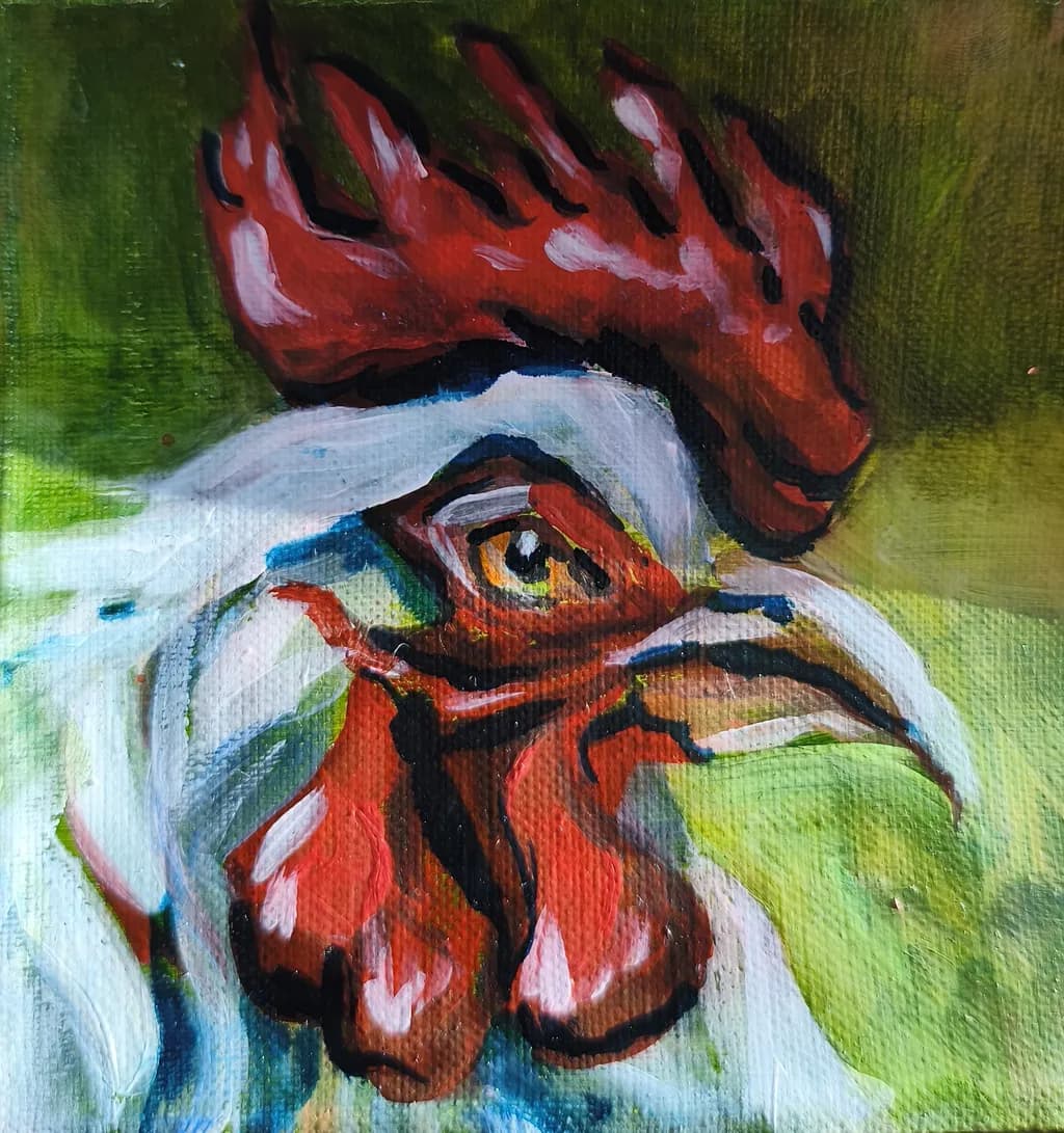 Rooster Gaze