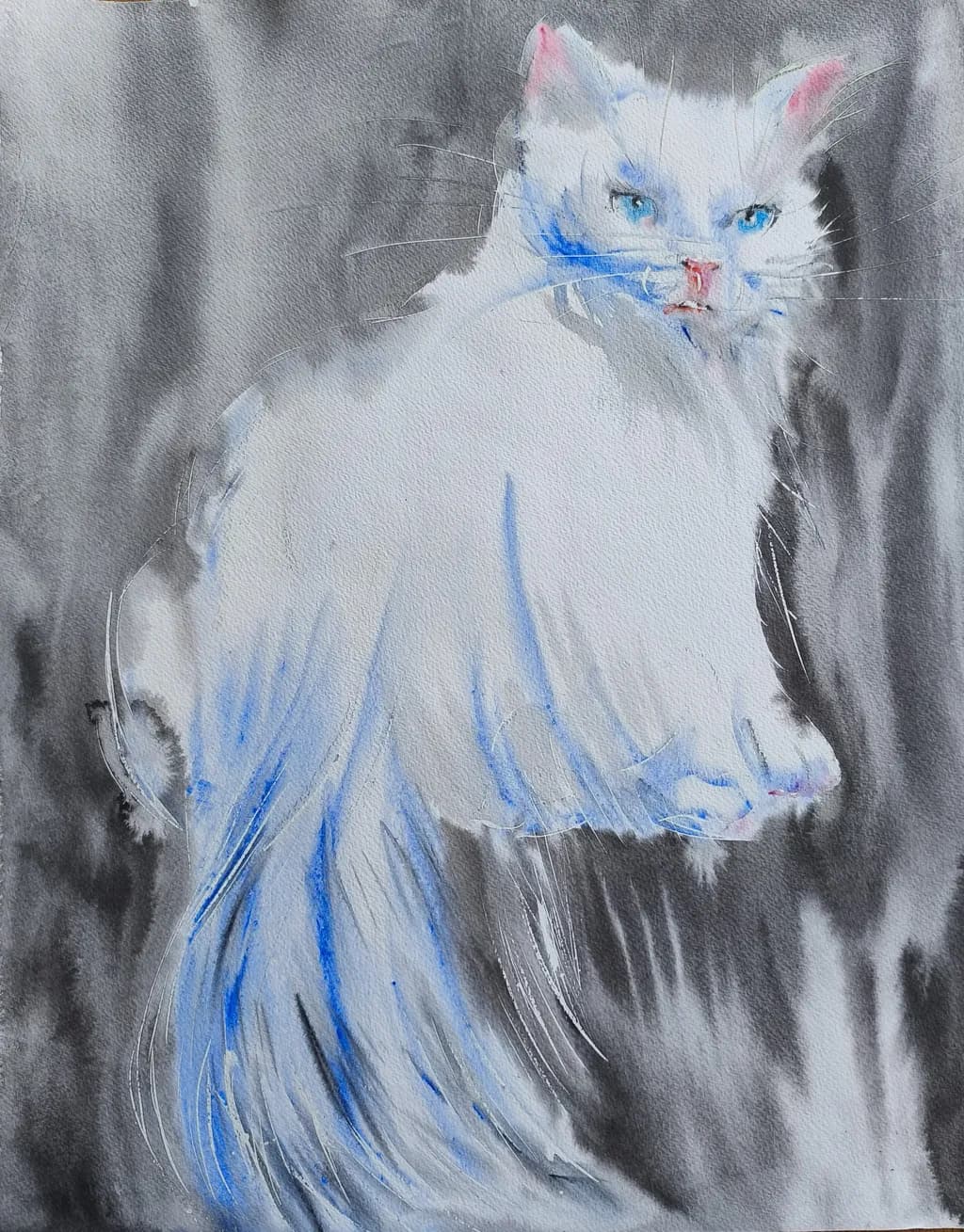 Blue Whisper Cat