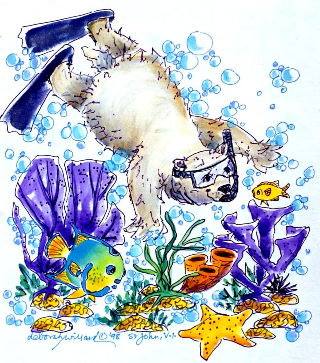 Underwater Adventure
