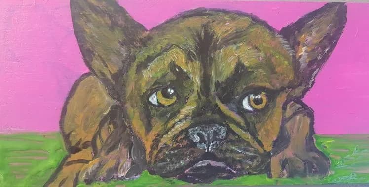 Whimsical French Bulldog: A Playful Portrait on Pink Canvas
