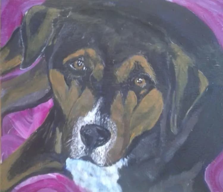 Whispers of Loyalty: A Portrait of a Beloved Canine Companion