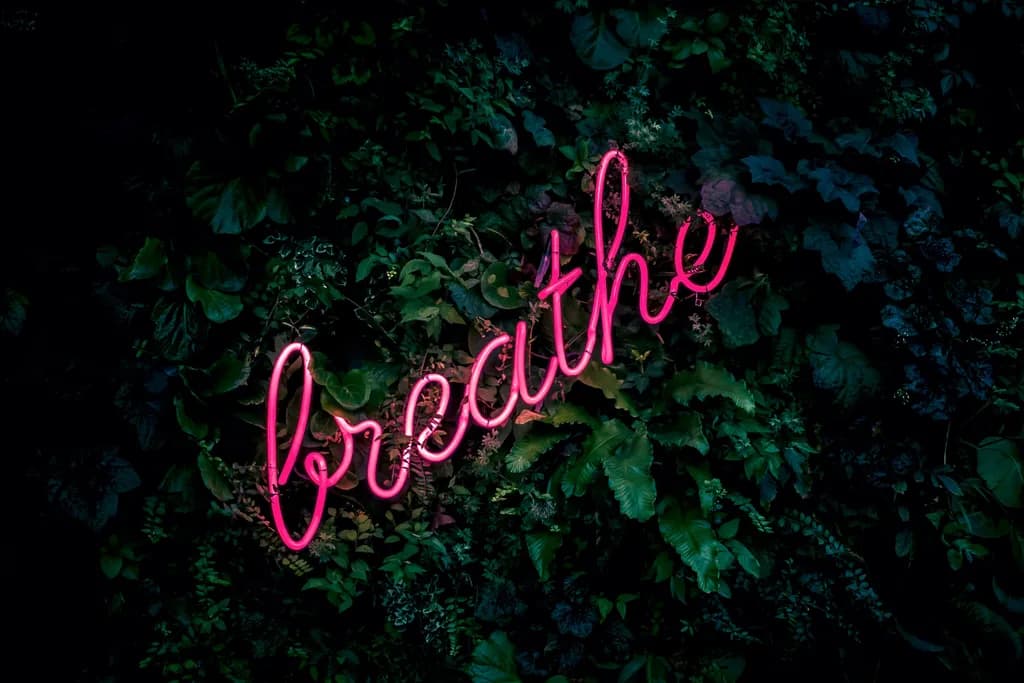 Breathe Easy: A Neon Oasis of Relaxation and Light