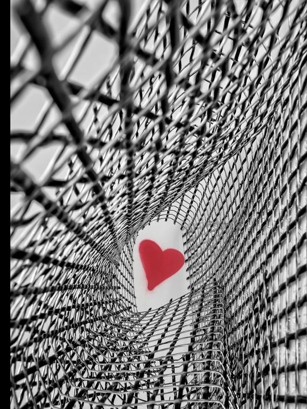 Heart in the Mesh: A Journey Through Love and Structure