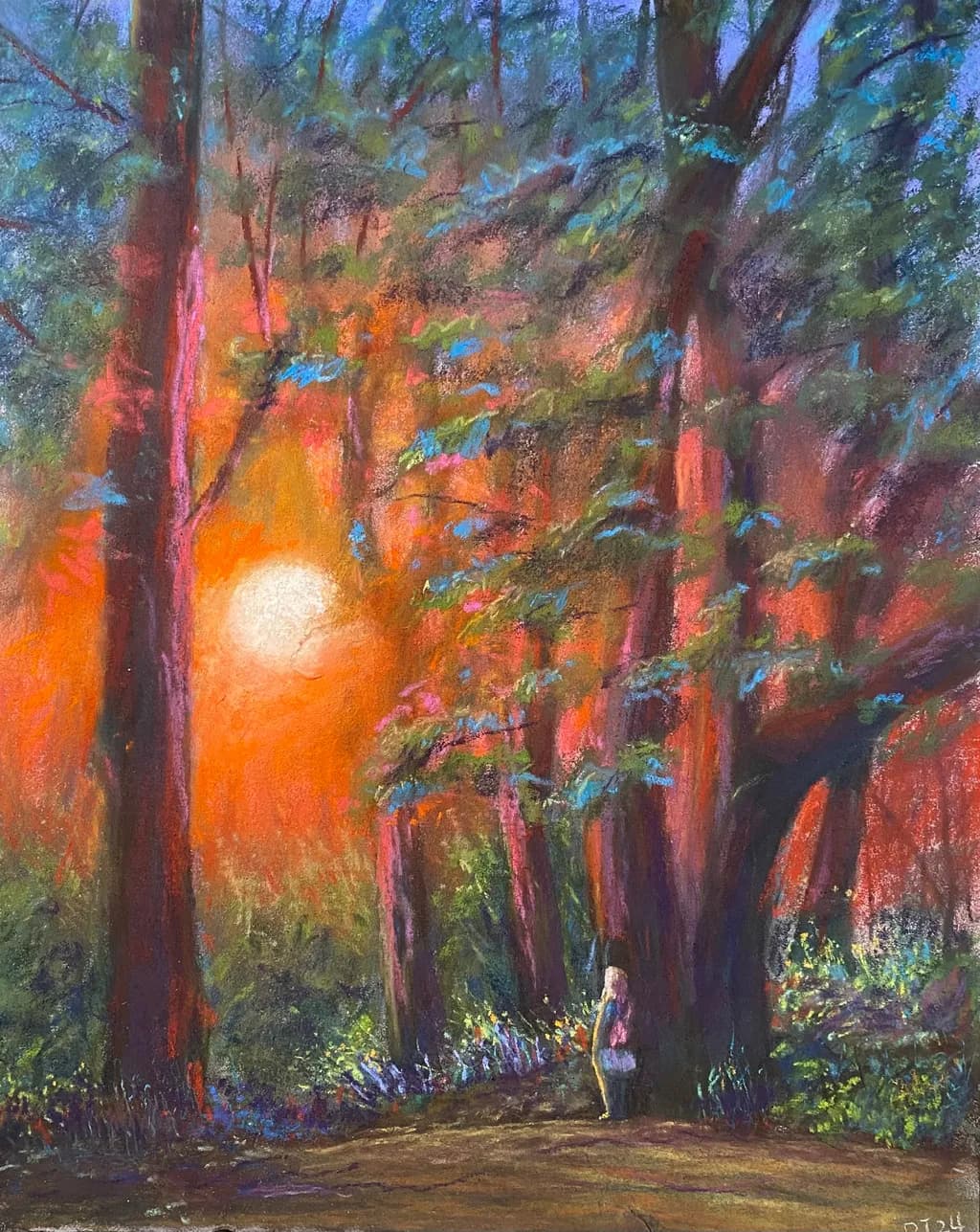 Whispers of the Forest: A Journey Through Sunlit Serenity